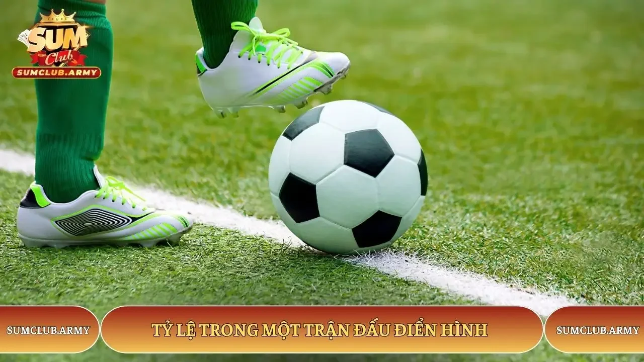 Tỷ lệ trong một trận đấu điển hình Tỷ lệ trong một trận đấu điển hình