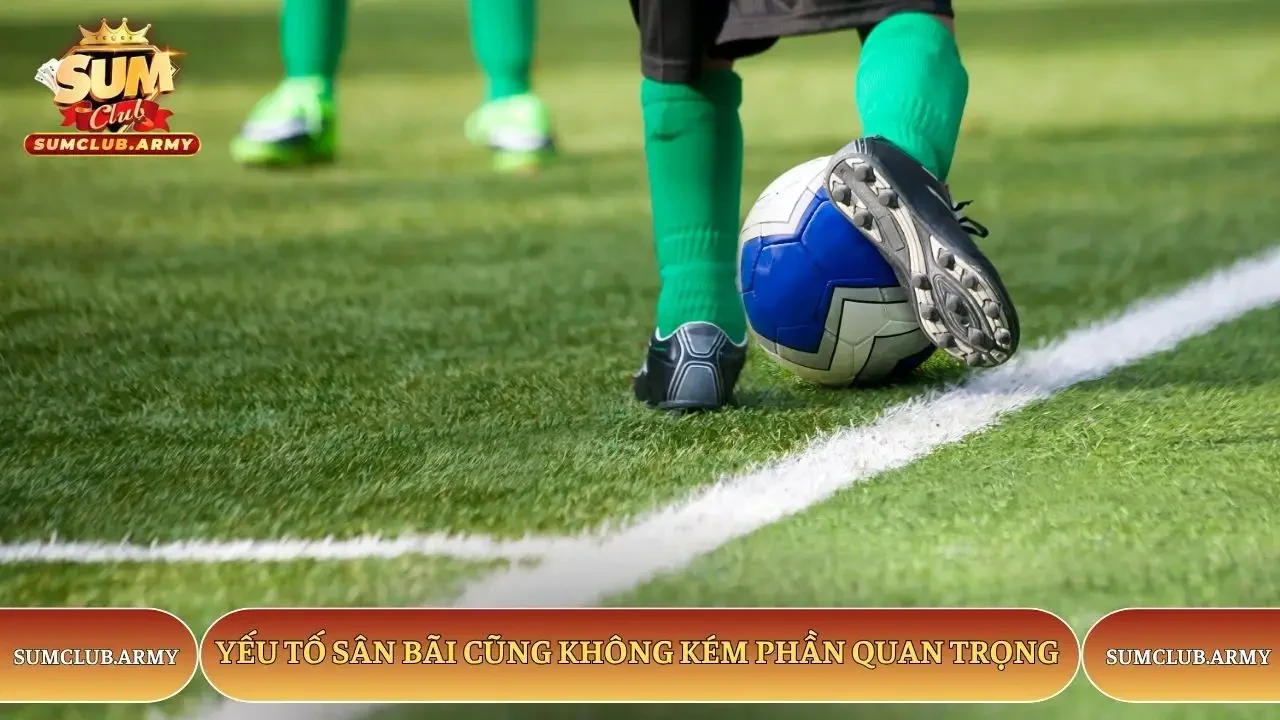 Yếu tố sân bãi cũng không kém phần quan trọng Yếu tố sân bãi cũng không kém phần quan trọng