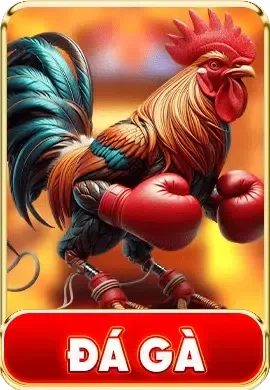 SUMCLUB ⚡ Trang Chủ SUM CLUB Mới Nhất ✔️ Đăng Nhập +88K 250 Đá gà Sumclub